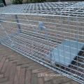 Humane Bollplapible Live Animal Trap Cage Cage Fox Traps